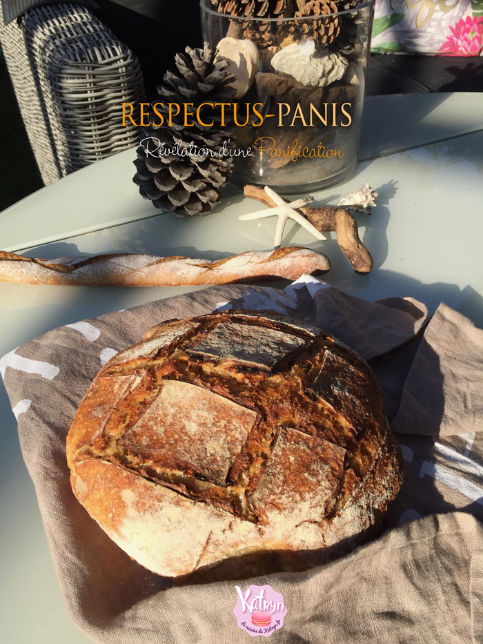 respectus-panis