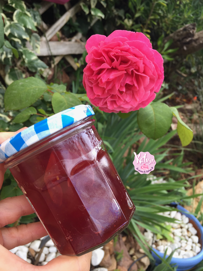 tarte-fraises-rhubarbes