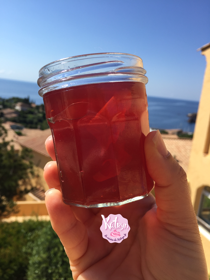 tarte-fraises-rhubarbes
