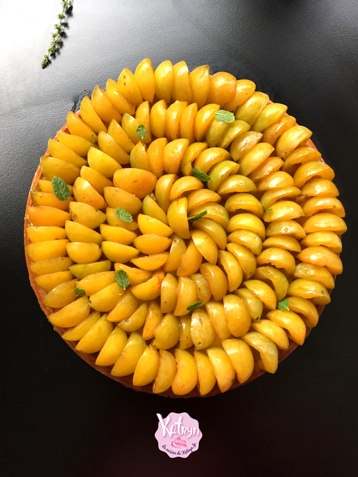 tarte-fraises-rhubarbes